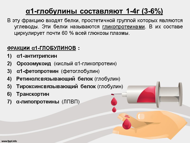 α1-глобулины составляют 1-4г (3-6%) В эту фракцию входят белки, простетичной группой которых являются углеводы.
